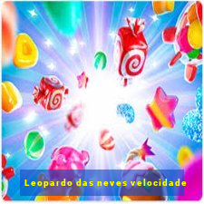 Leopardo das neves velocidade